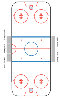 national-hockey-league-5.gif